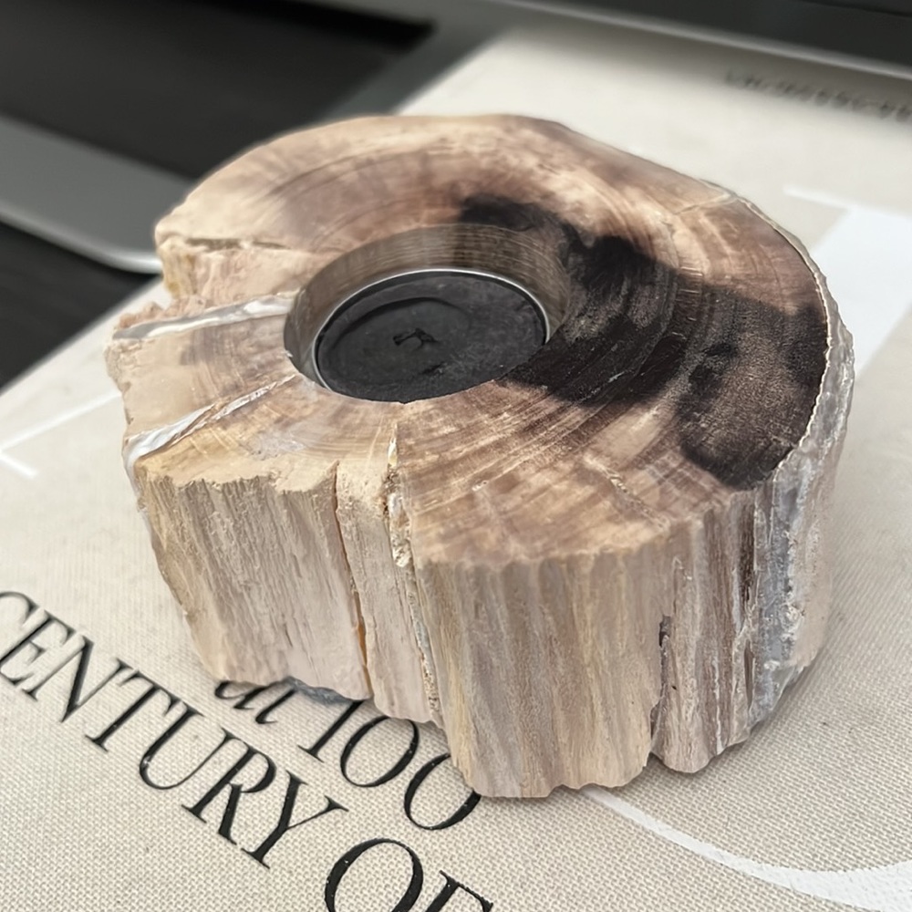 Genuine petrified wood tea light holder & decorative object natural cream black